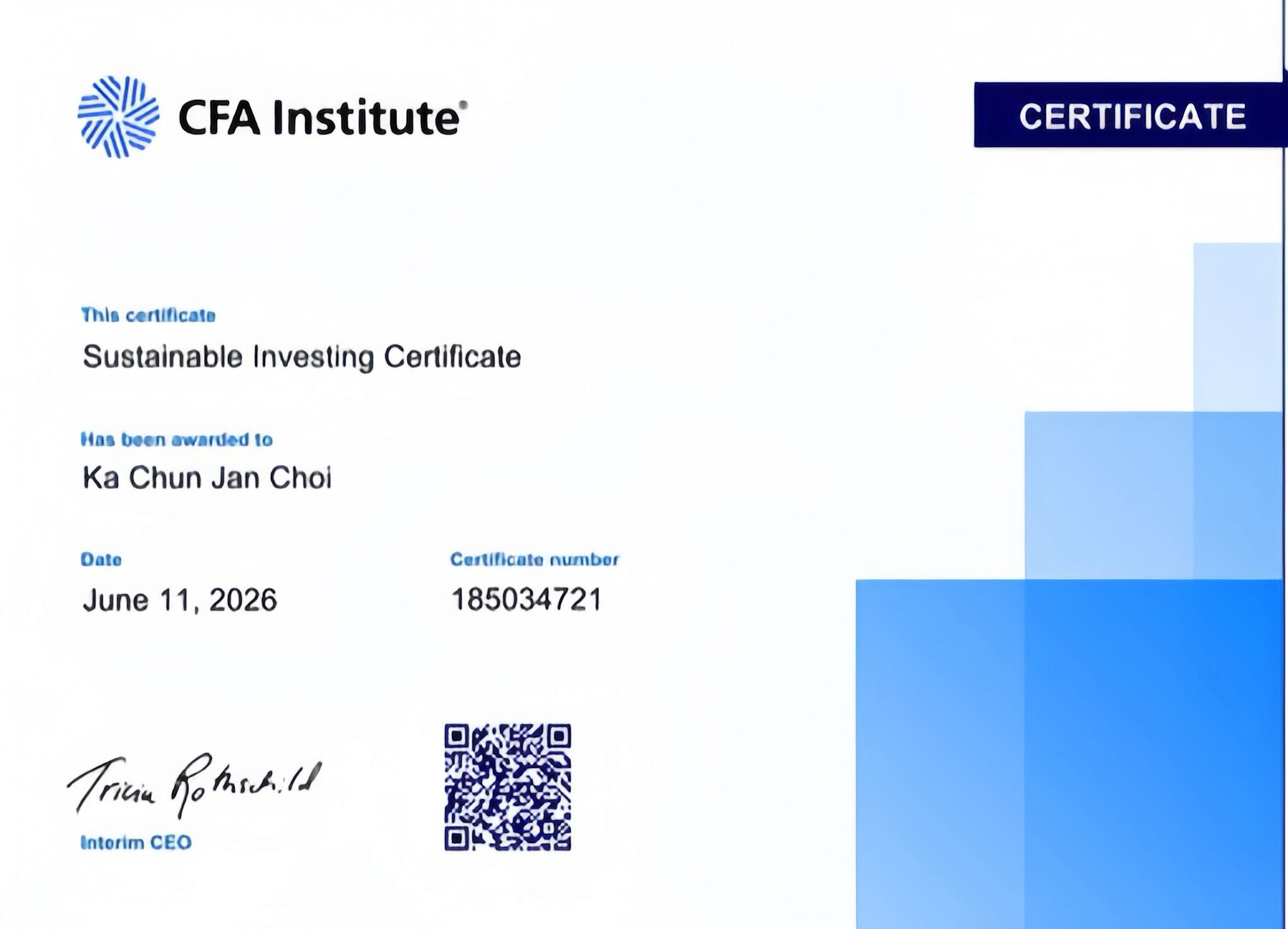 CFA Institute Sustainable Investing Certificate